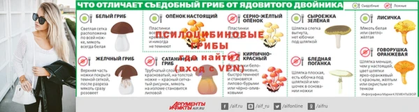дмт Снежногорск