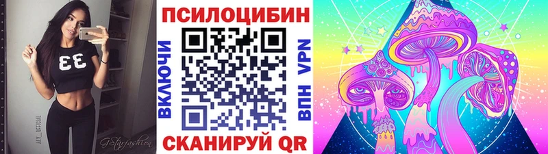 Купить  Железногорск-Илимский  Галлюциногенные грибы Psilocybine cubensis 